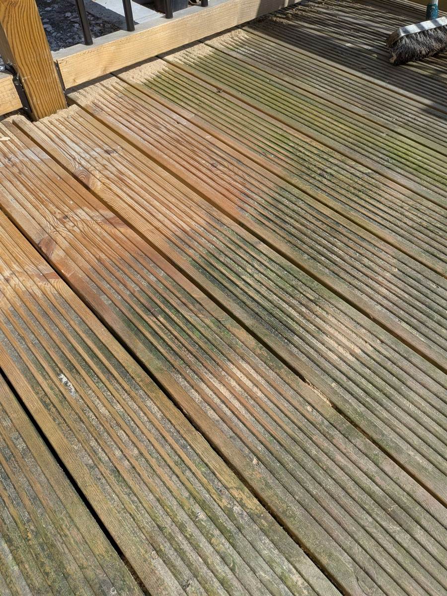 Decking before cleaning — green algae and slippery
